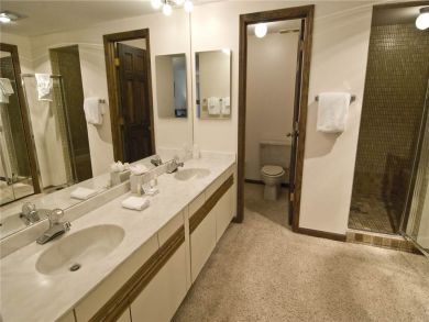 Beaver Creek Bachelor Gulch Condo 896161